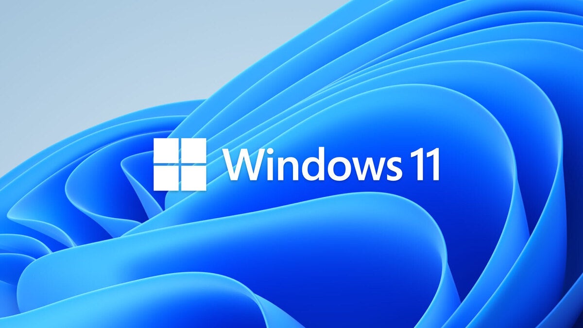 windows 11 logo bloom